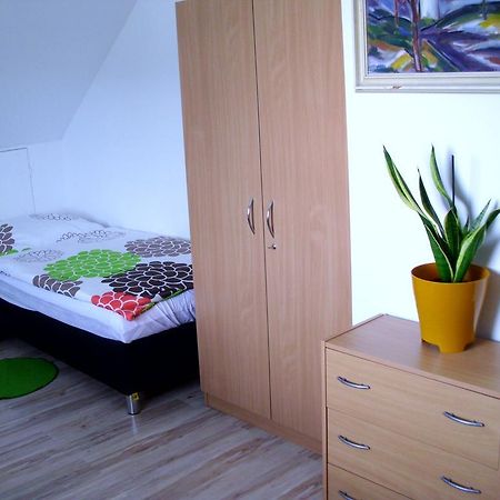 Apartman Pavla Apartment Jesenik Bagian luar foto